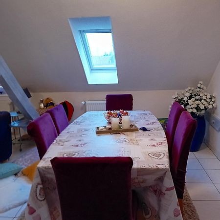 Appartement Spacieux A Ingersheim Avec Vue Sur Jardin 100 M² Екстериор снимка