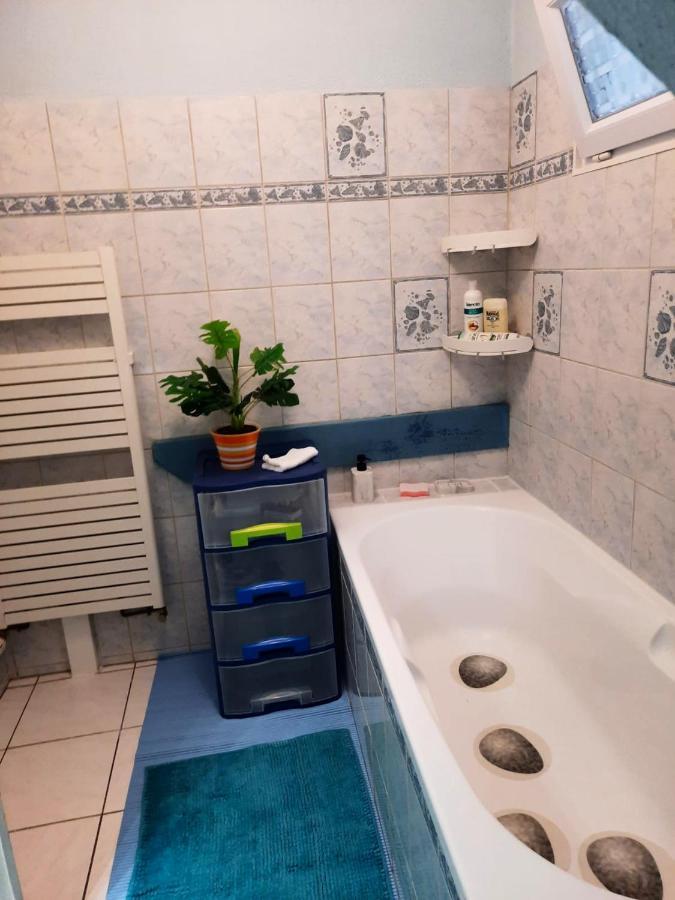 Appartement Spacieux A Ingersheim Avec Vue Sur Jardin 100 M² Екстериор снимка